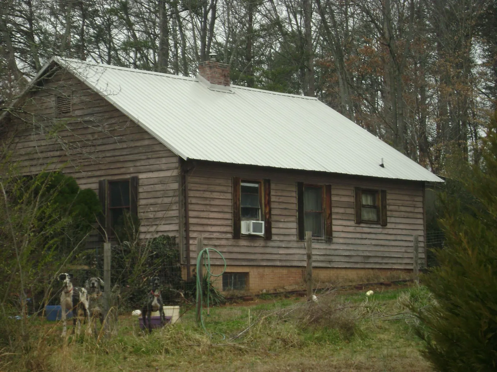 White metal roof on an old wood sided farmhouse, from a Asphalt Shingle Roof Repair job in Boykins